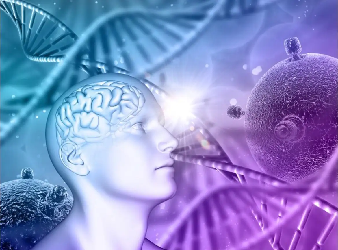 Espaço de terapia Tatyane Albuquerque - Ambiente acolhedor para sessões